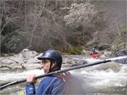 Spring Creek 5